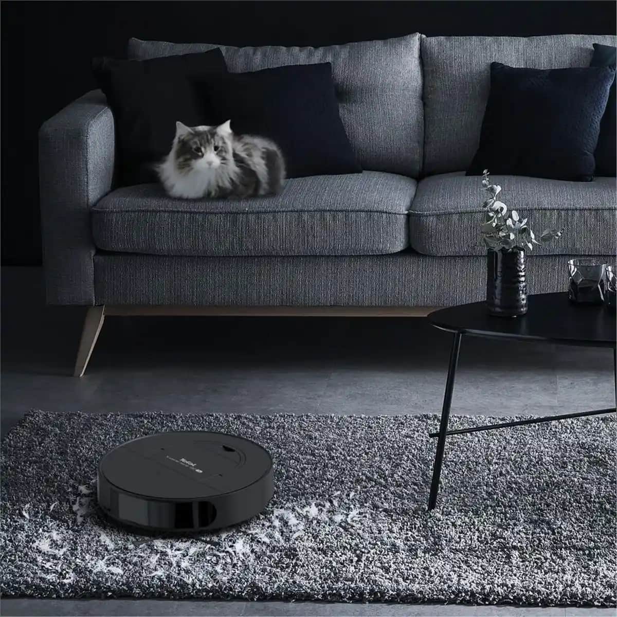 Evcil Hayvan Sahipleri İçin Robot Süpürge Rehberi: Tüylerle Mücadelede Teknolojinin Gücü