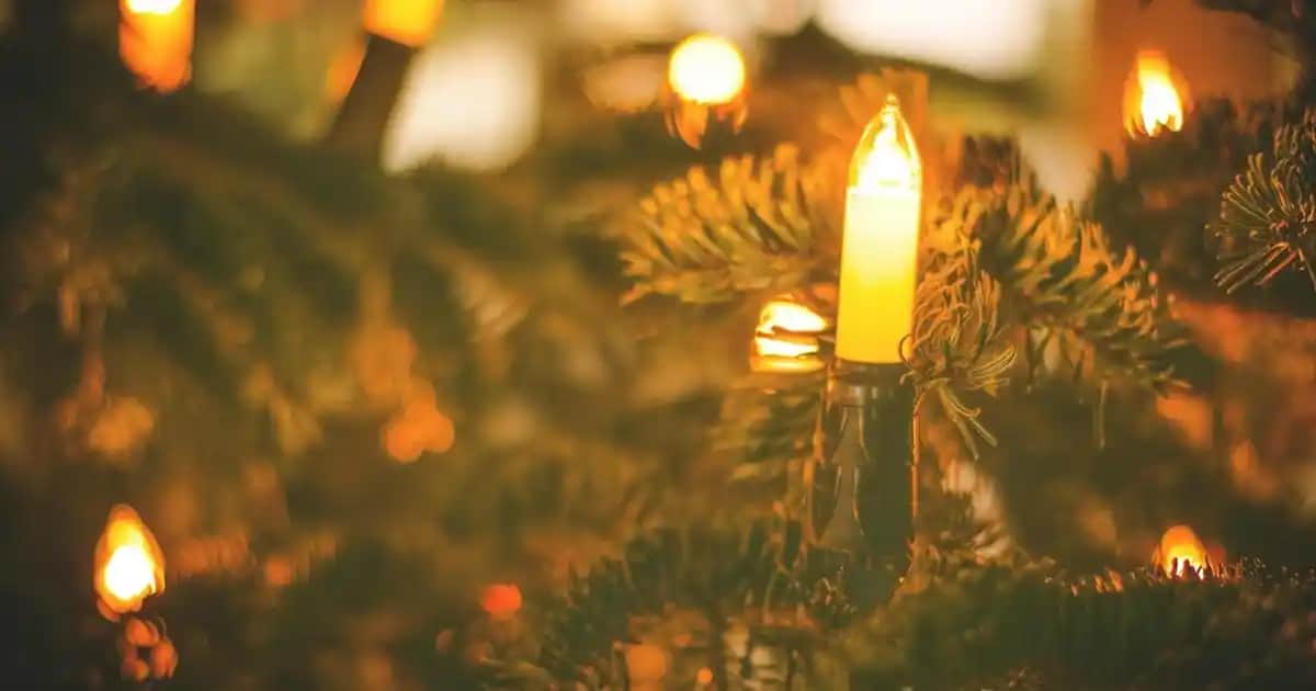 Fakir Lucky Serisi Elektrikli Süpürgeler ve Çok Yönlü Temizlik Çözümleri