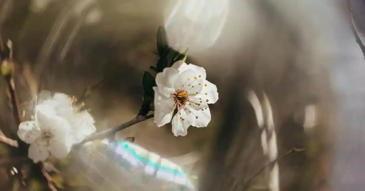 iPhone 16 Pro Max Özellikleri ve Teknolojik Yenilikler Hakkında Kapsamlı İnceleme