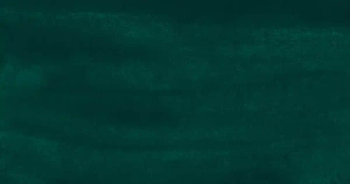 Philips HD9285 Akıllı Çok Fonksiyonlu Mutfak Cihazı Gelişmiş Özelliklerle Tanıtım