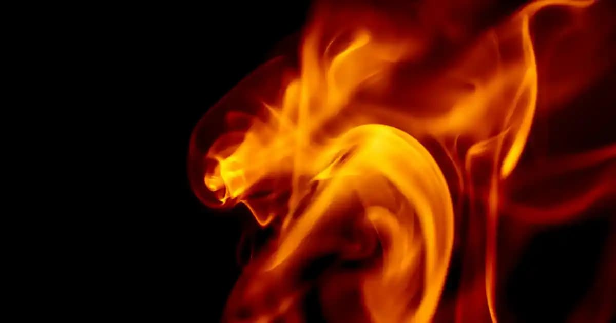 Reeder P13 Blue Plus Akıllı Telefon ve Uyumlu Elektronik Aksesuarlar Rehberi