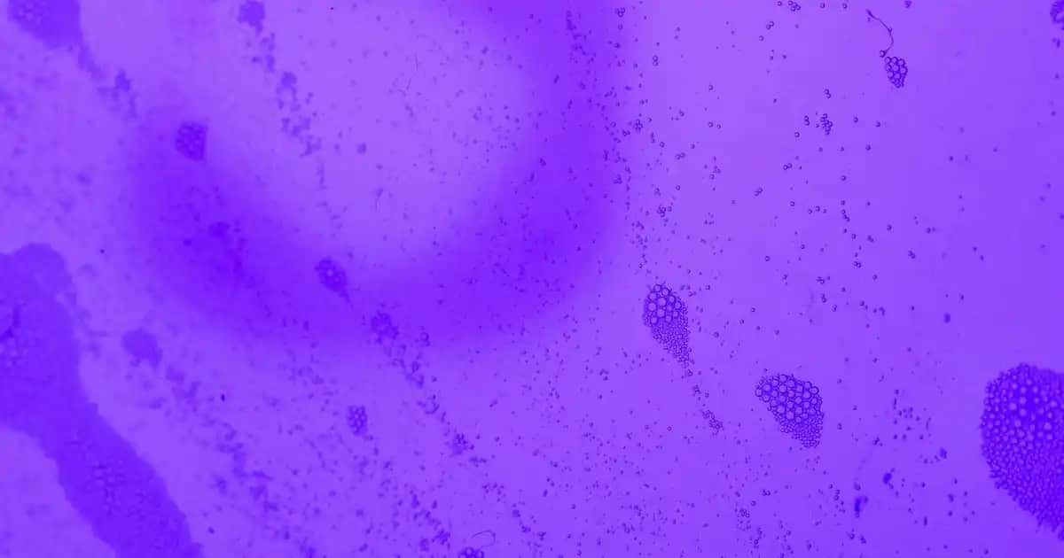 Robot Süpürge Seçimi 2025: En İyi Modeller ve Karşılaştırma Rehberi