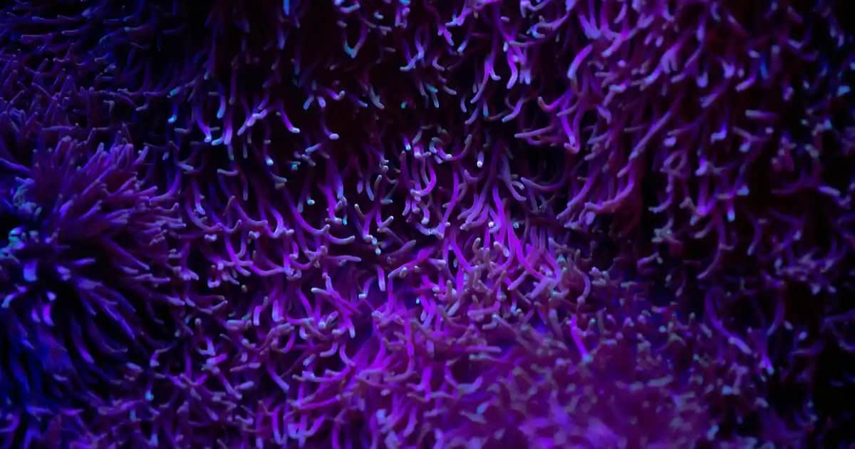 Vatan Robot Süpürge ile Akıllı ve Pratik Temizlik Çözümleri Rehberi