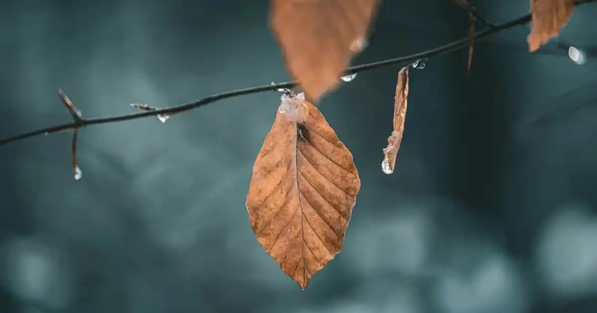 LG 42LB580N LED Bar: Televizyon Aydınlatmasında Kritik Rol ve Performans Etkileri