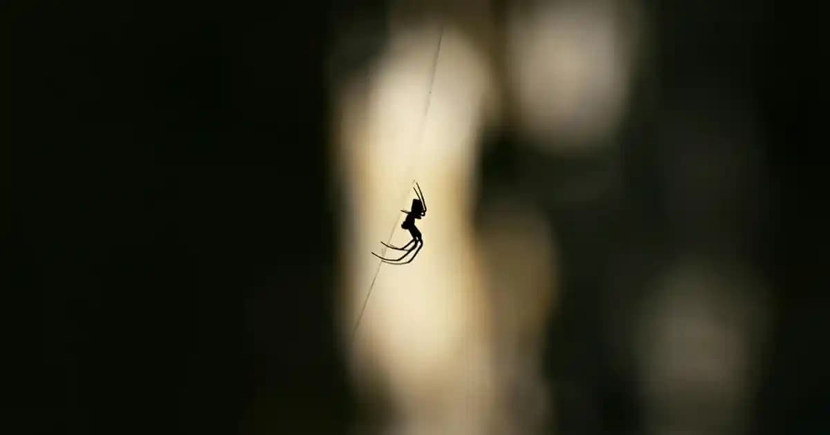 Mobass MB-8 Modeli Hakkında Mevcut Bilgi Eksikliği ve Arama Sonuçlarının Analizi