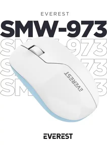 Claw's Pastel Style ve Everest SMW-973 Kablosuz Mouse Karşılaştırması 2