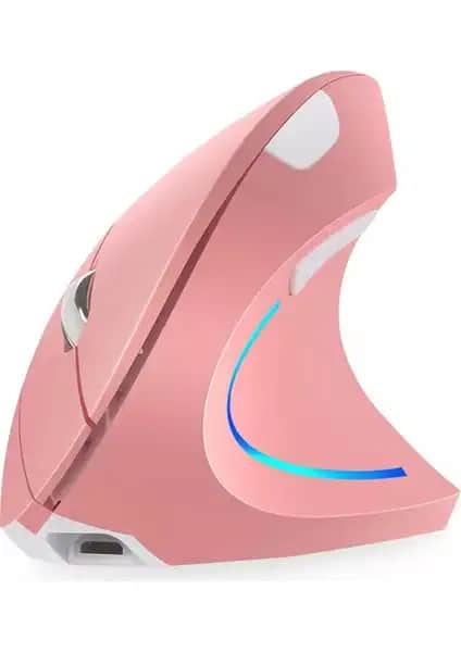 Cloody Dikey Ergonomik ve Logitech M240 Sessiz Kompakt Mouse Karşılaştırması