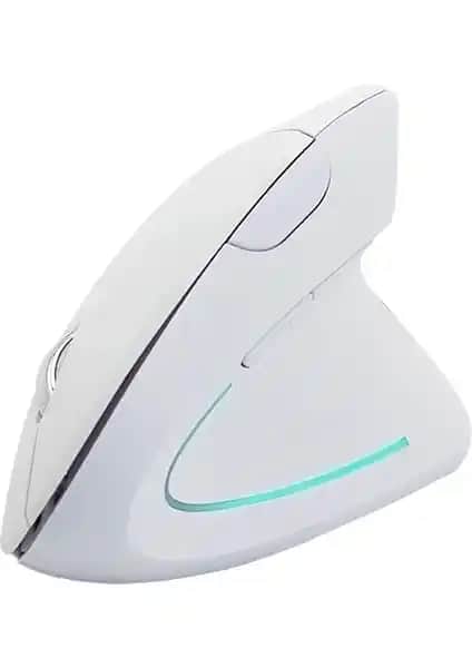 Cloody Dikey Ergonomik ve Studz M6 Tavşan Kablosuz Mouse Karşılaştırması