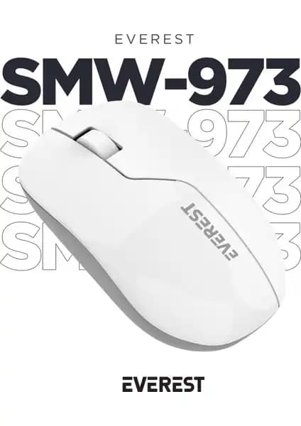 Everest SM-18 ve SMW-973 Kablosuz Fare Karşılaştırması Ev ve Ofis Kullanımı İçin 2