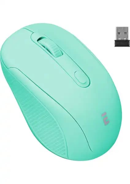 Everest SM-300 ve SM-BT31 Kablosuz Mouse Karşılaştırması ve Kullanıcı Yorumları 1