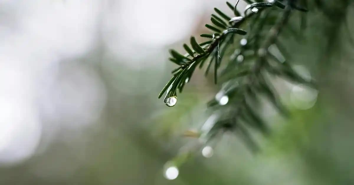 2025 Android Telefonlar: Yeni Nesil Özellikler ve Teknolojik Gelişmeler Hakkında Bilgi