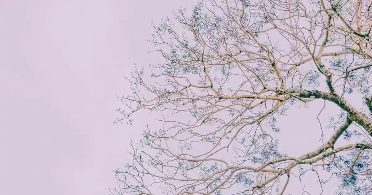 Android TV Kutuları ve Güncellemeleri: Güncel Bilgiler ve Güvenlik İpuçları