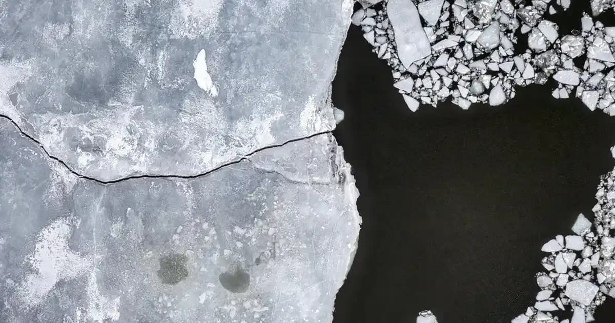 Apple Ekosisteminde Güvenlik ve Erişim Yönetimi Rehberi