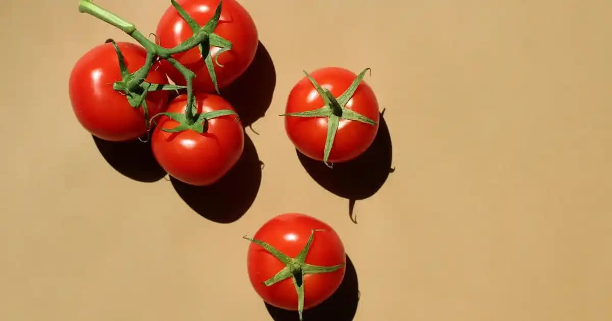 Casper Excalibur Laptop Çantası: Dayanıklı ve Estetik Tasarım ile Güvenli Elektronik Taşıma