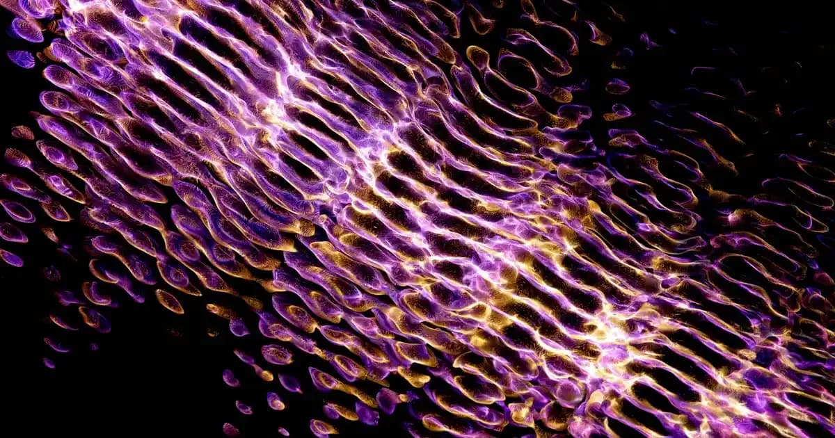 Roborock Q8 Max Pro ve S8 Pro Arasındaki Temel Farklar ve Teknolojik Özellikler