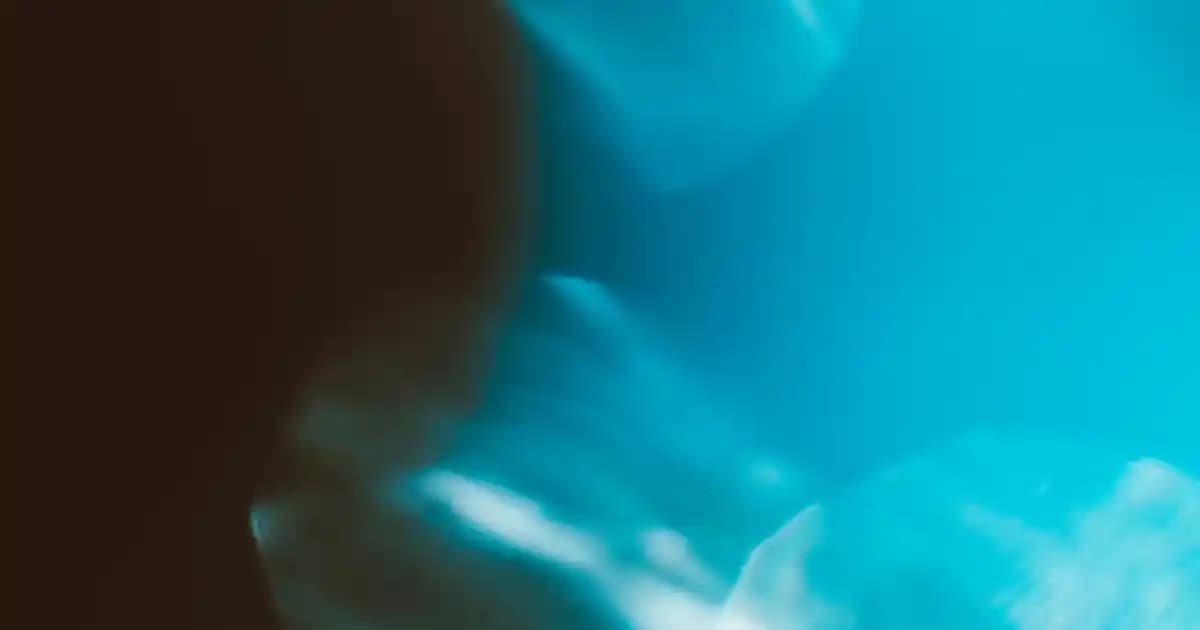 Roborock S8 Pro Ultra ve Q8 Max: Akıllı Robot Süpürgelerde Güncel Teknolojiler ve Karşılaştırma