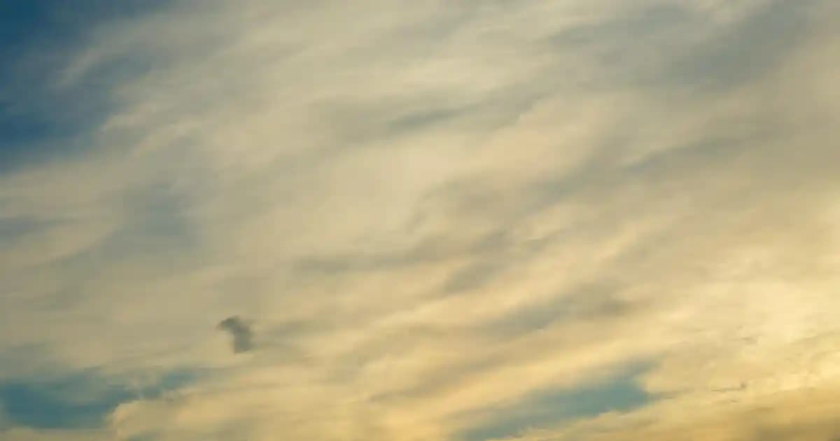 Robot Süpürge Seri Numarası Nerede Yazar ve Nasıl Bulunur