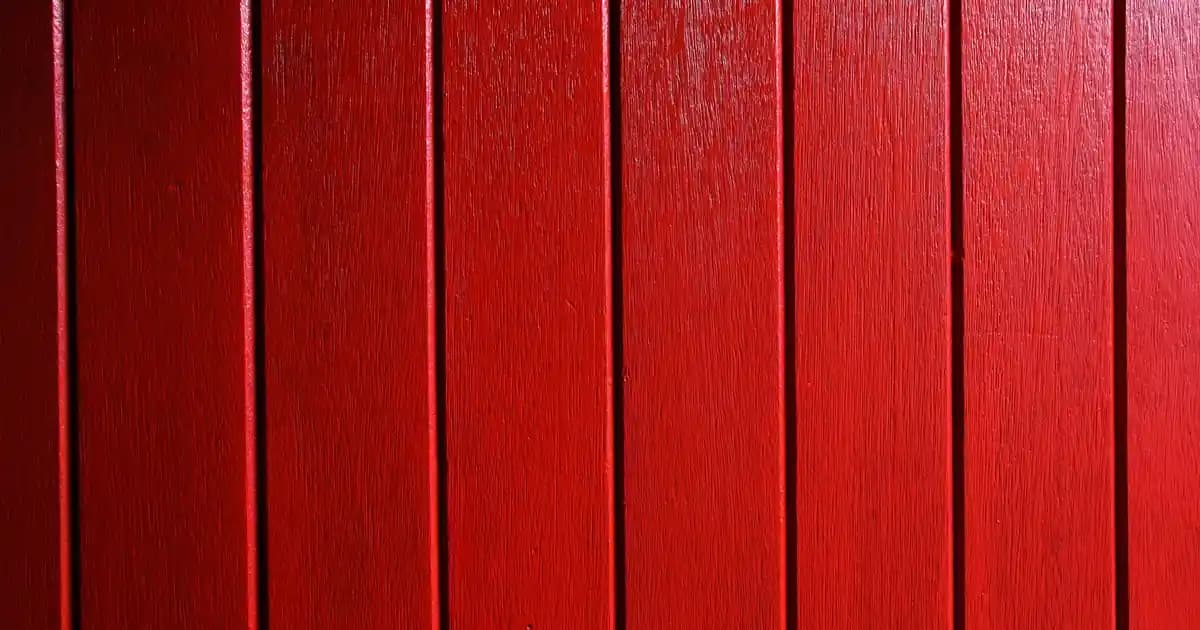 Samsung 65QN70F Televizyonu: Yüksek Görüntü Kalitesi ve Gelişmiş Teknolojilerle Donatılmış Yeni Nesil Televizyon