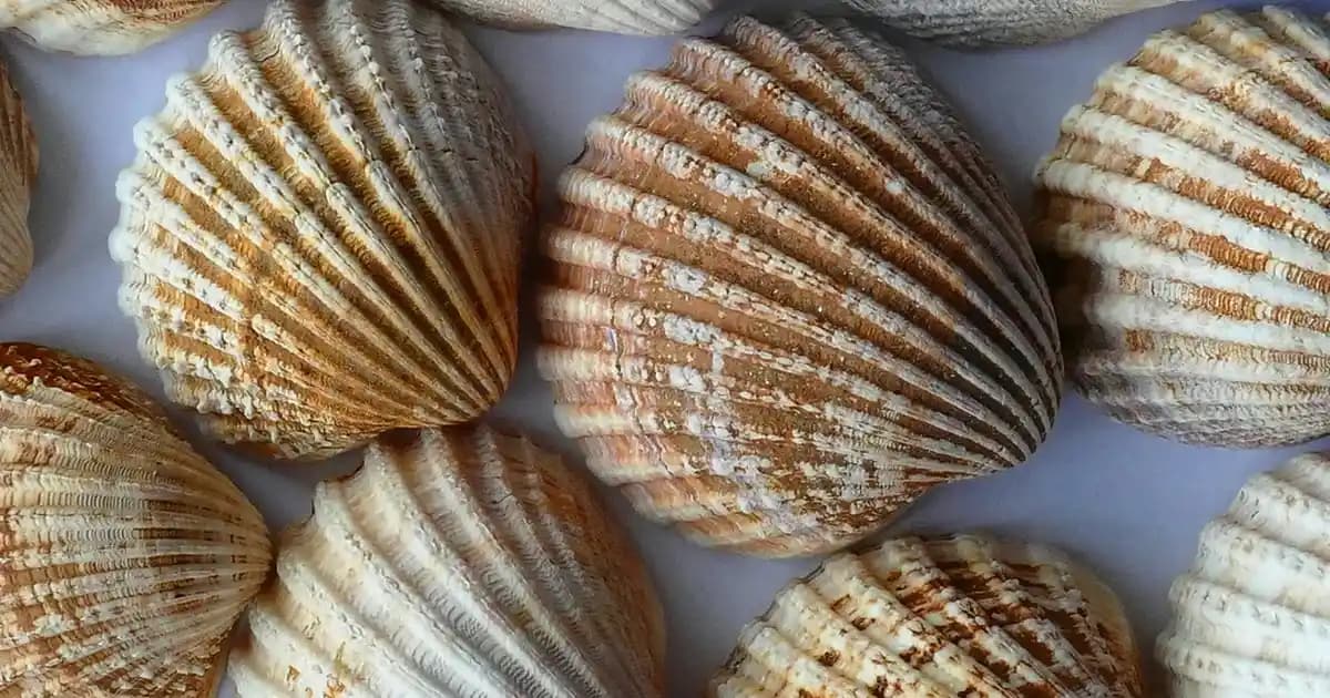 Samsung Galaxy S Serisinin Güncel Özellikleri ve Kullanıcı Deneyimleri Analizi