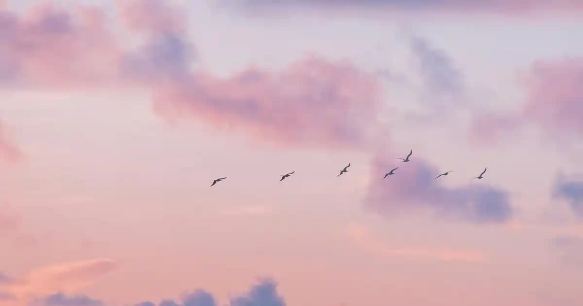 Samsung M20 Akıllı Telefonu: Uygun Fiyatlı ve Temel Özellikleriyle Piyasada Yer Alıyor