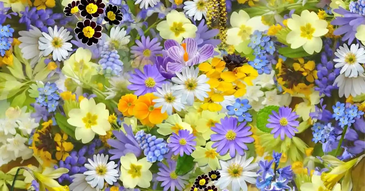 Viessmann Vitodens Trend 25/29 kW Kombi: Modern Yoğuşmalı Teknolojinin Temel Özelliği