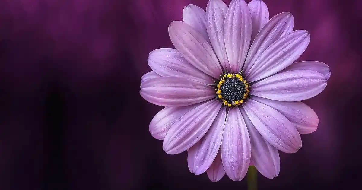 2025 Yılı Güncel Instagram Ekran Boyutları ve İçerik Ölçüleri Rehberi