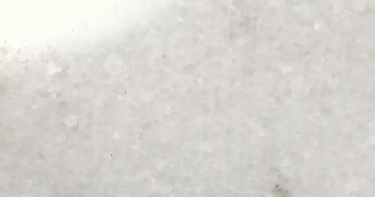 2025 Yılında En İyi Oppo Telefon Önerileri ve Teknolojik Yenilikler