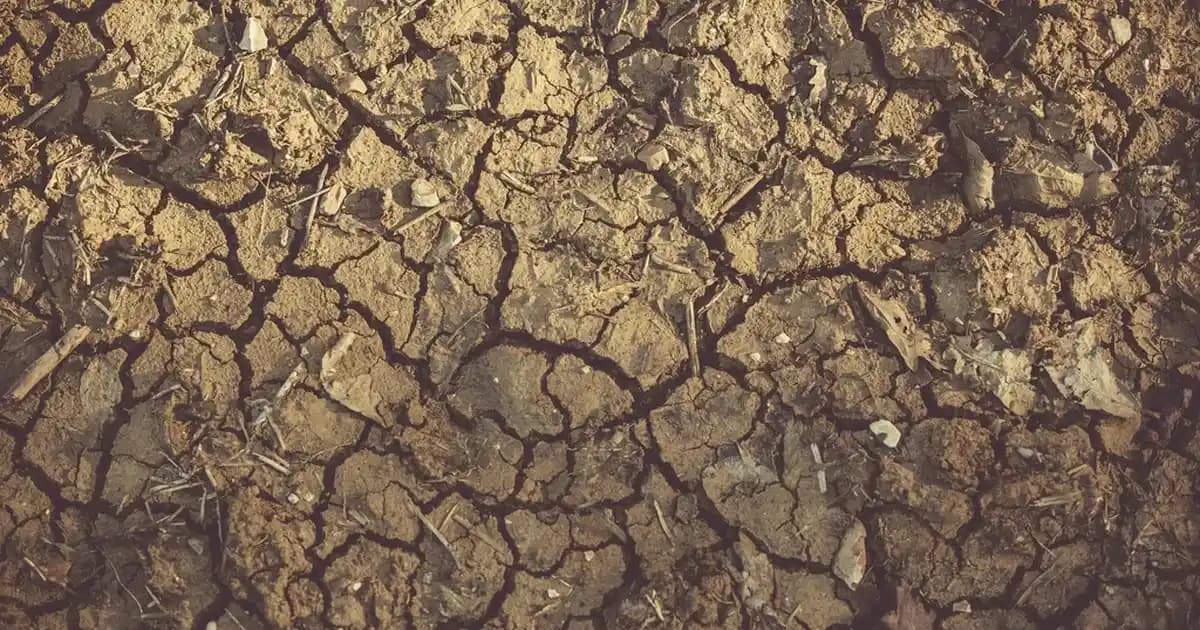 2025 Yılında PUBG'de 90 FPS Destekleyen En Güçlü Akıllı Telefonlar Listesi