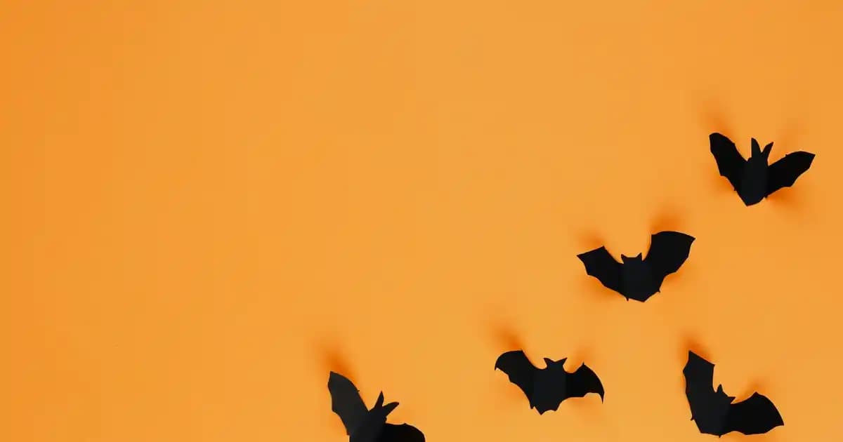 55 İnçlik Ekranın Santimetre Karşılığı ve Doğru Ekran Seçimi Rehberi