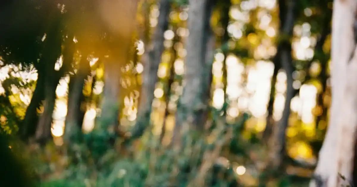 6.22 İnç Ekranlı Telefonlar: Kullanıcılar İçin Dengeli ve Çok Yönlü Seçenekler