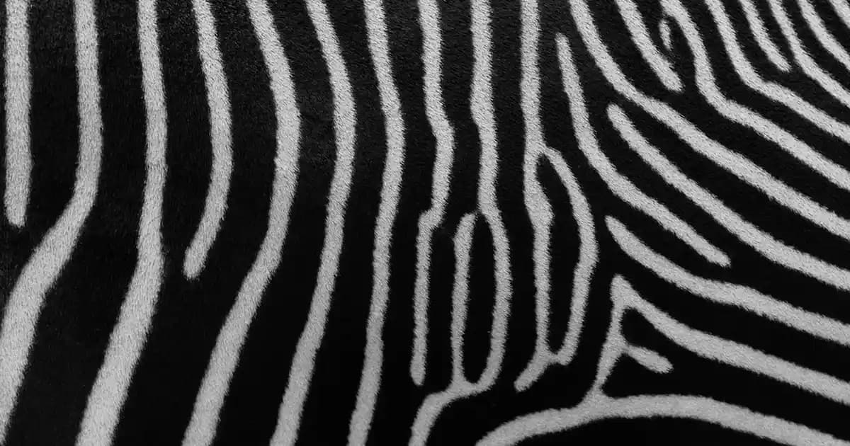 2025'te 65 İnç Televizyonlarla Sinema Keyfinizi Katlayın: Gerçek Boyutlar ve İpu