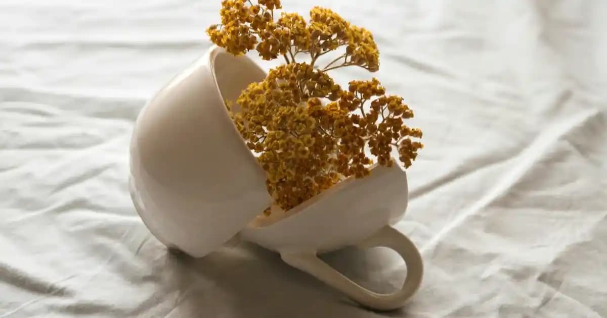 2025'te 86 İnç TV ile Evde Sinema Keyfini Zirveye Taşıyın