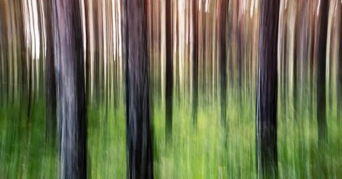 Akıllı Saat Seçimi ve Kullanım İpuçlarıyla Güncel Trendleri Keşfedin