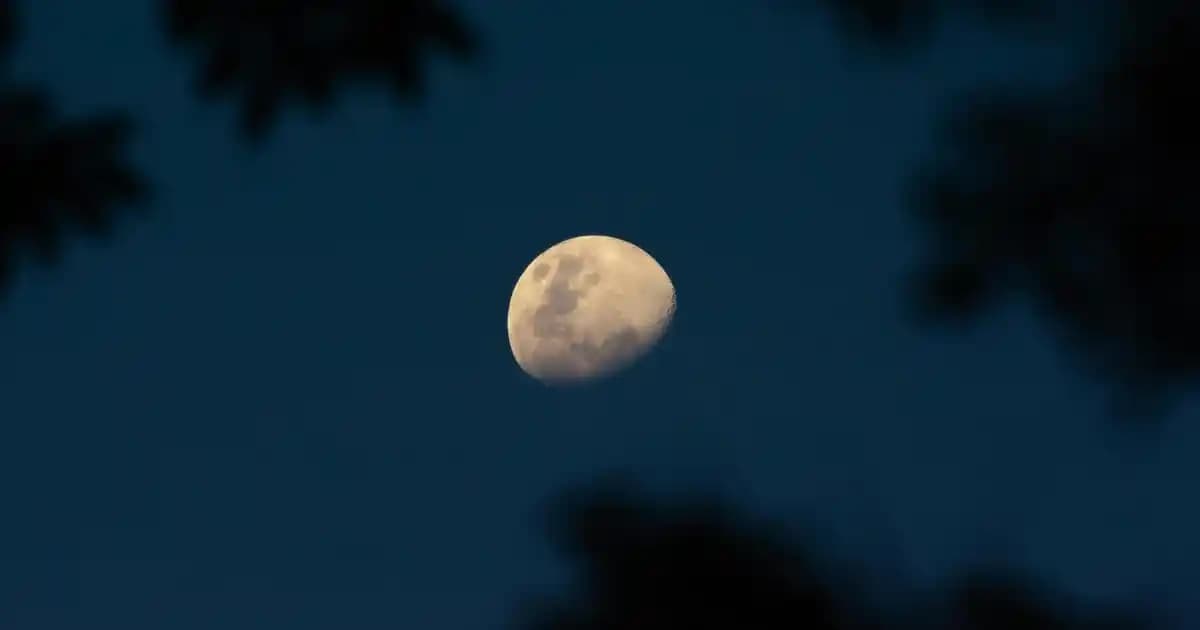 Akım Koruma Prizi Nedir, Nasıl Çalışır ve En İyi Modeller Nelerdir