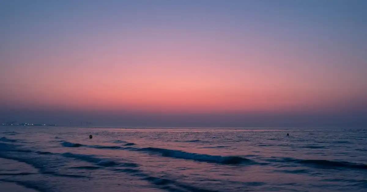 Aypet Tablet ile Evcil Hayvan Bakımında Yeni Nesil Teknolojiler ve Sağlık Takibi