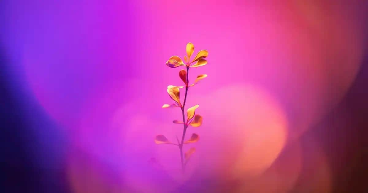 Dokunmatik Televizyonlar: Akıllı ve İnteraktif Ekran Teknolojileri ile Geleceğin Eğlence Çözümleri