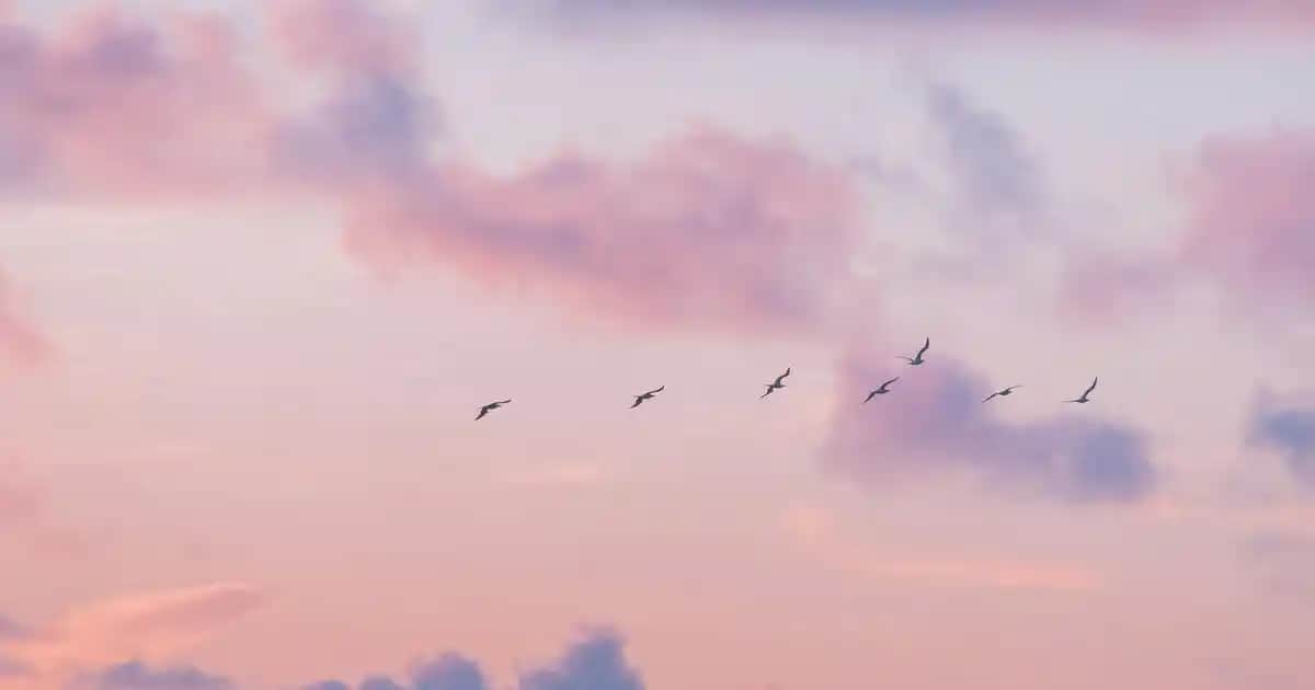 Elektrik Tesisatında Nötr Kablo Renkleri ve Standartlar Hakkında Kapsamlı Bilgi