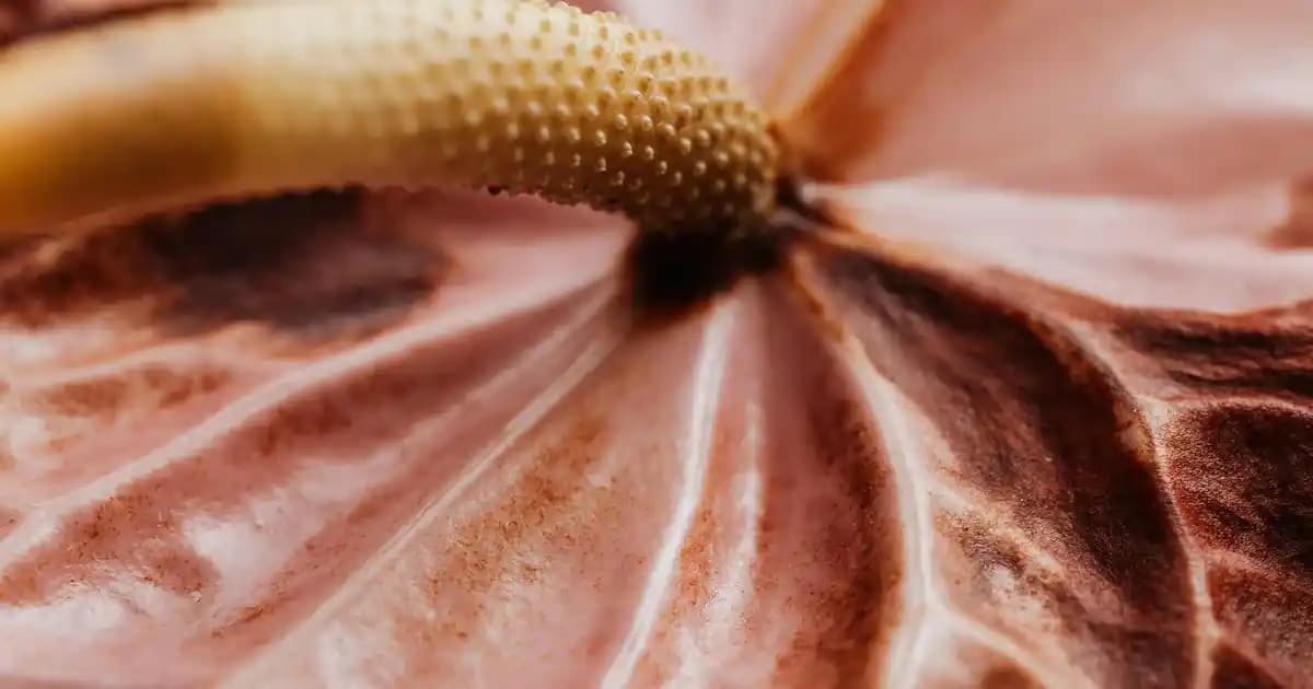 Elektrikli Motosikletler: Şehir İçi Ulaşımda Çevreci ve Ekonomik Bir Alternatif