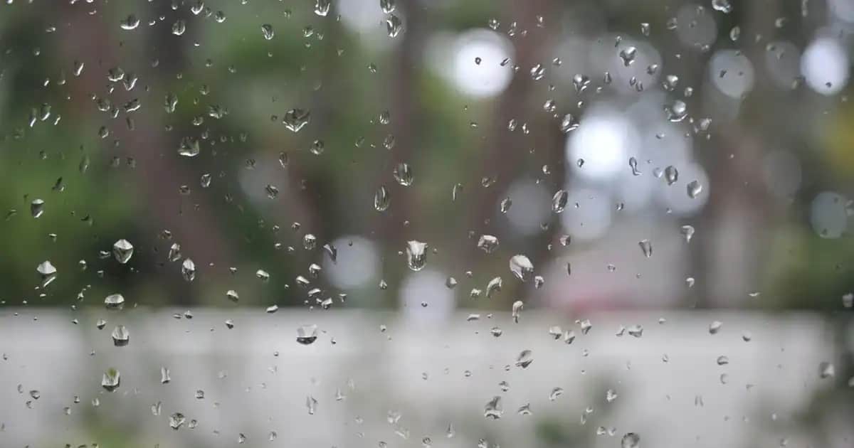 Elektronik Ürünlerde Müşteri Memnuniyetini Artıran Şikayetvar Platformunun Önemi ve Kullanımı