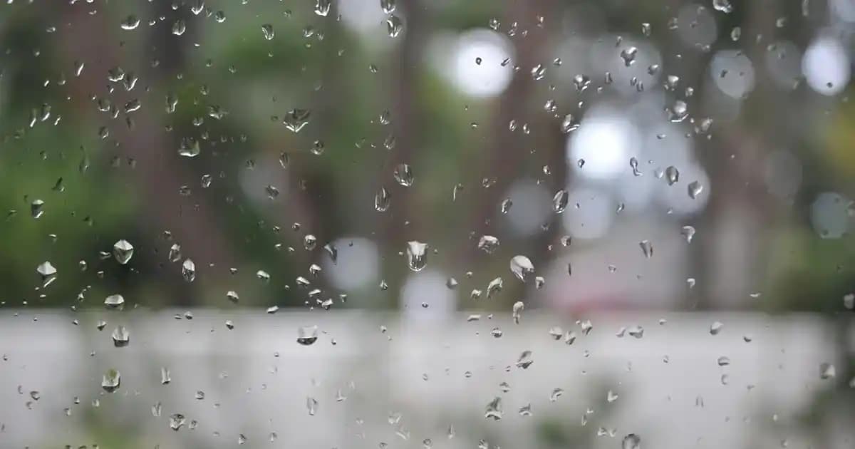 Elektronik Ürünlerde Müşteri Memnuniyetini Artıran Şikayetvar Platformunun Önemi ve Kullanımı