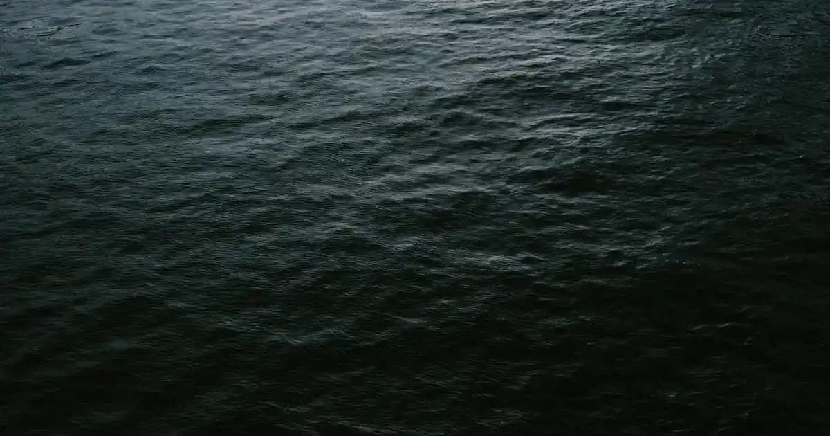 2025'te Tansiyon Takibinde Devrim: Akıllı Saatlerle Sağlığınızı Yönetin