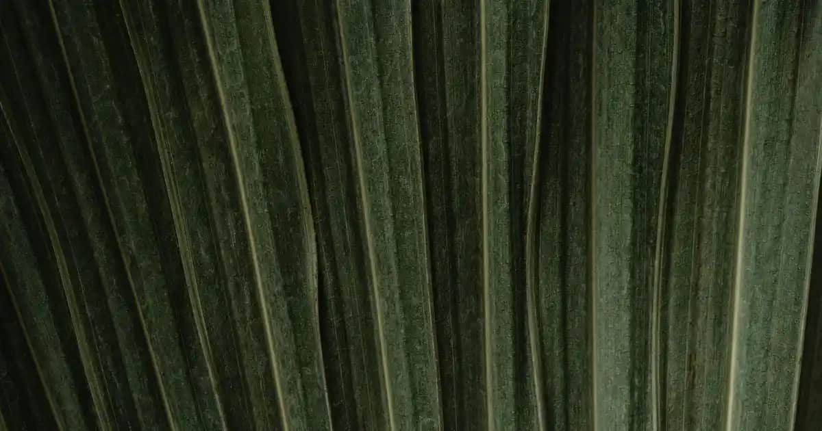 General Mobile GM 22 Plus Ekran Görüntüsü Alma Yöntemleri ve Pratik Kullanım İpuçları