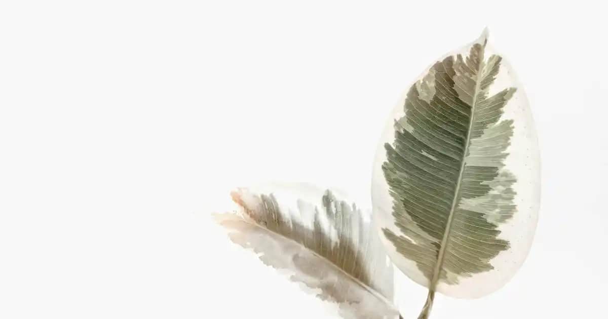 Gizli kulaklıklar: Güvenlik ve gizlilik alanında kullanılan küçük iletişim cihazları