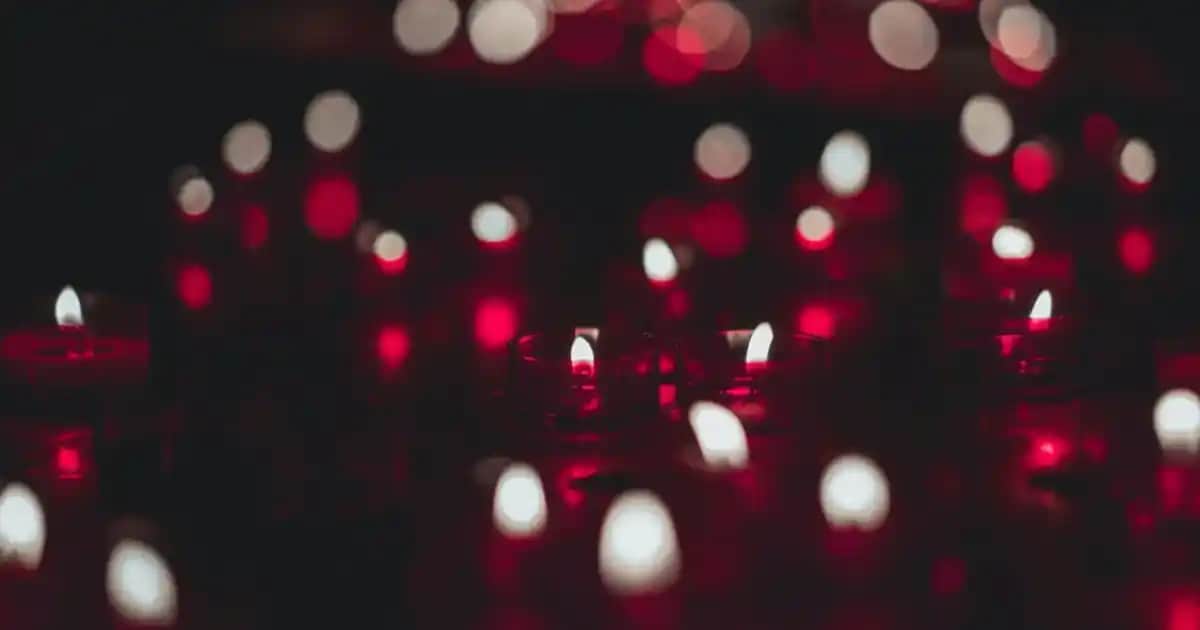 Hollanda’da 2025 Yılında En Güncel Telefon Fiyatları ve Satın Alma Rehberi