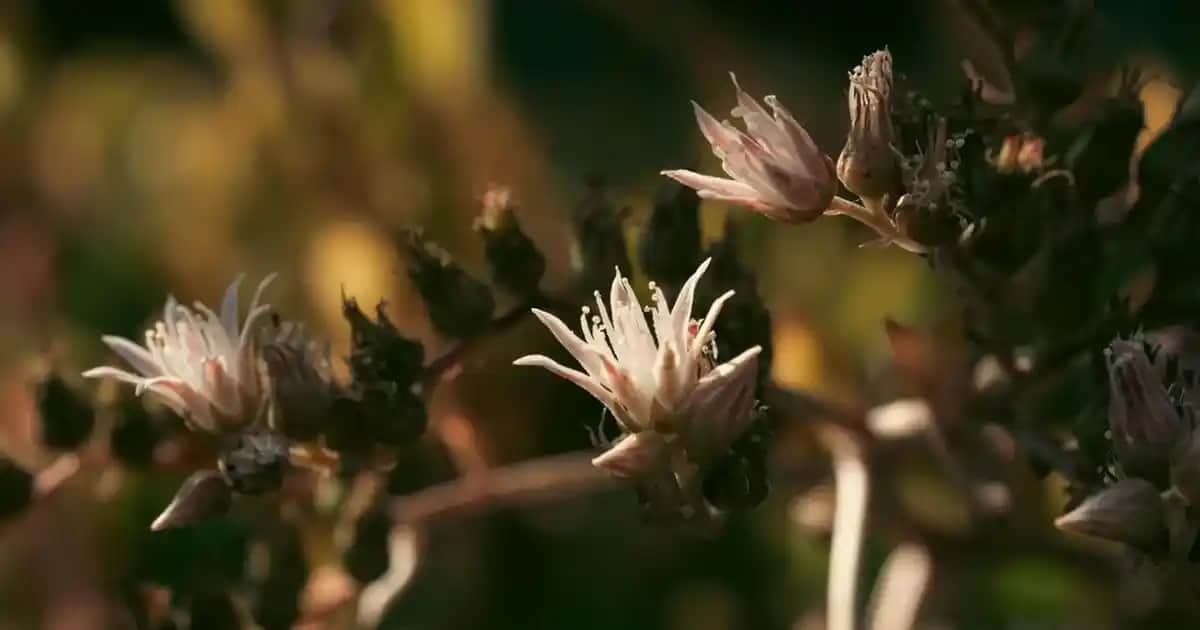 Hoparlör Testi Nasıl Yapılır ve Ses Kalitesini Kontrol Etmenin En Güvenilir Yolu