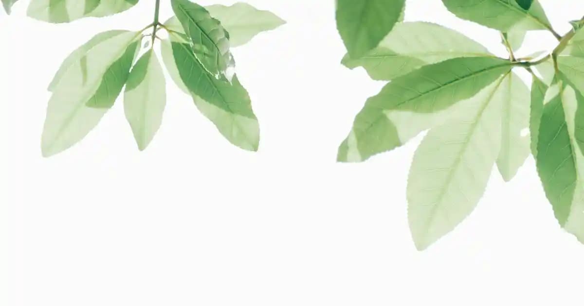 Instagram'da Takip İsteği ve Gizlilik Ayarlarını Etkin Yönetme Rehberi