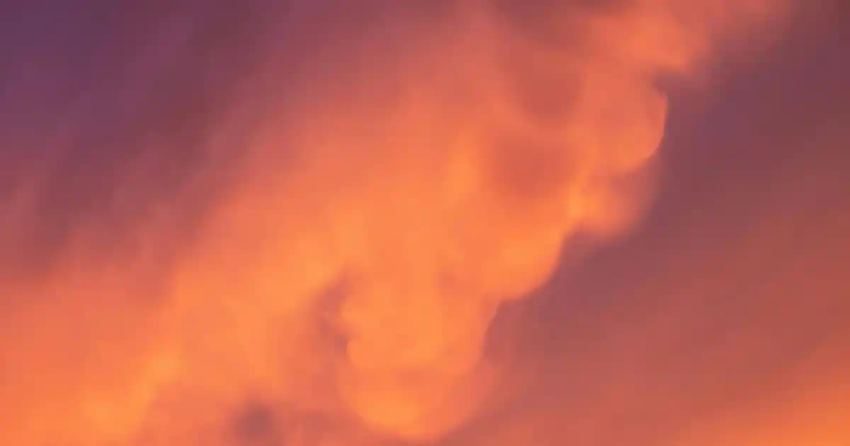 2025'te iPhone 11 Batarya Değişiminde Bilmeniz Gereken 5 Kritik Sır