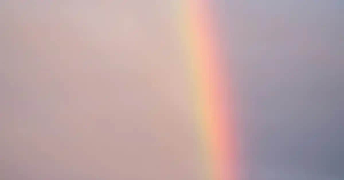 Kablosuz Süpürge Seçimi ve Temizlikte Yeni Nesil Çözüm Rehberi