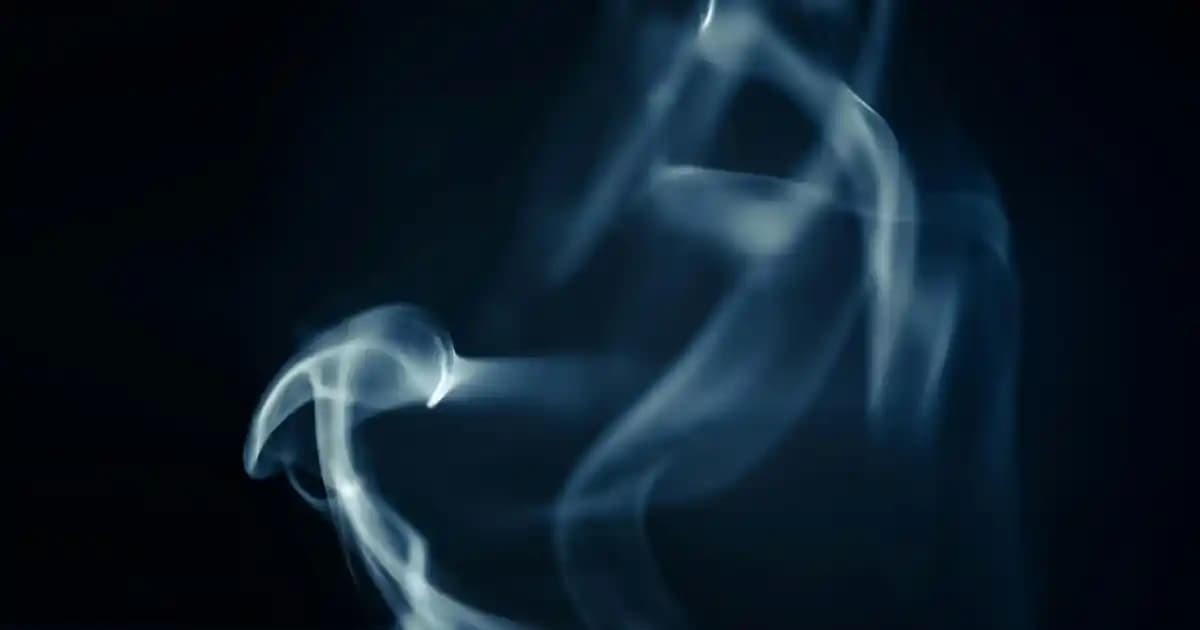 2025'te Laptop Anakart Modelinizi Öğrenmenin 5 Şaşırtıcı Yolu