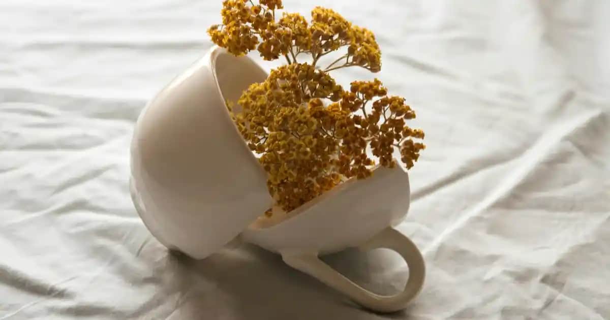 Laptop Modelini Öğrenme Rehberi: Adımlar ve Yöntemler